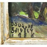 Paintings, Douglas Shively