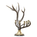 5-light antler candelabra, the spoked bone rack mounted with brass turned bobeches, rising on a wide