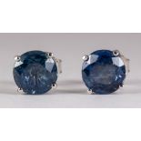 Pair of sapphire and 14k white gold earrings