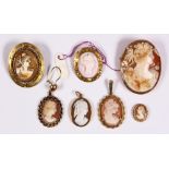 (Lot of 7) Shell cameo, yellow gold, metal jewelry and items Including 1) shell cameo and 14k yellow