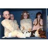 (lot of 4) German bisque dolls, makers include Simon Halbig, Max Handwerck, largest: 32"