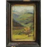 American School (20th century), Autumn Mountain Landscape, oil on canvas, unsigned, overall (with