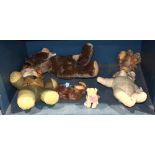 One shelf of early teddy bears and dolls in the Steiff style, largest: approximately 21"l