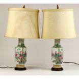 Chinese Pair of Lamps