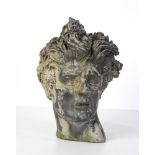 After the Antique, cast head of a young man with flowing locks