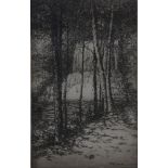 Print, Edward Timothy Hurley, Cascade-Virginia Mountains
