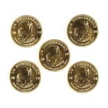 (lot of 5) 2010 1/2 ounce gold South African Krugerrands