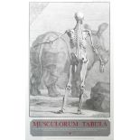 Poster, Musculorum Tabula