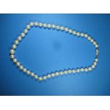 A cultured pearl necklace with diamond clasp