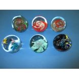 6 Vintage glass paperweights