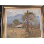 An original oil on board "Grey Gums -Kangaroo Valley" By Australian artist Robe