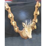 A taxidermy deer head mounted as a gun rack