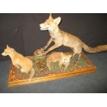 A large taxidermy diorama of a fox and 2 cubs