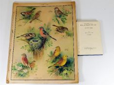 A portfolio of MacMillan's educational Nature Clas