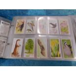 A large collection of tea cards