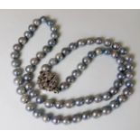 A string of south sea pearls set with silver clasp