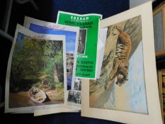 Two portfolios of pictures & prints