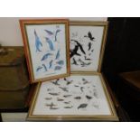 Three bird prints including South Atlantic