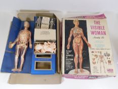 An anatomical The Invisible Woman assembly kit by