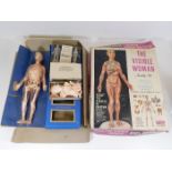 An anatomical The Invisible Woman assembly kit by