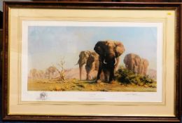 A framed David Shepherd Limited Edition print of T