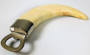 A warthog horn bottle opener
