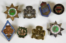 A Civil Nursing Reserve badge twinned with other b