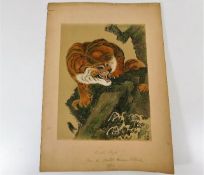 A 19thC. Japanese print after Kiuho Toyei, titled