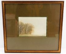 A framed John Miller (1931-2002) watercolour "Tree