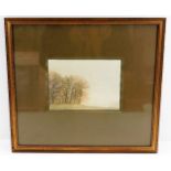 A framed John Miller (1931-2002) watercolour "Tree