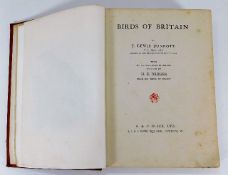 Book: Birds of Britain by J. Lewis Bonhote with il