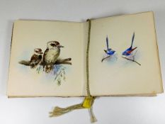 Birds of Australia by Artah, four watercolours