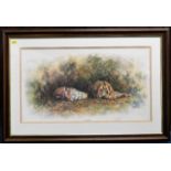 A framed Tony Forrest print of Tigers titled Lazy Days signed in pencil, image size 26in x 14.5in