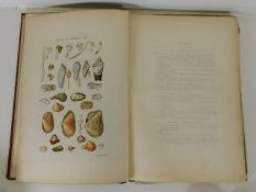 Sowerbys Illustrated Index of British Shells 1859