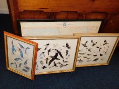 Three bird prints, one faded twinned with commemor