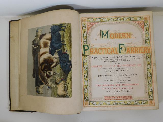 Modern Practical Farriery c.1874