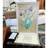 A framed seashell collection, a tray & a decorativ