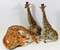 Three large Russian porcelain giraffes, tallest 11