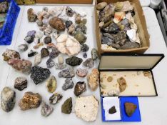 Collection of rocks and minerals including fossils
