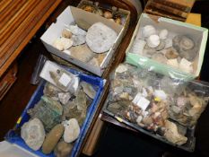 Collection of fossils and minerals