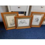 Three framed Marjorie Blamey pencil sketches