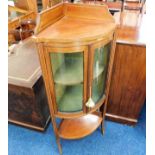 A mahogany Edwardian corner display cabinet 52.5in