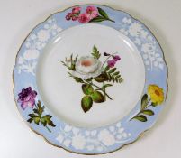 A fine Spode porcelain plate with enamelled & hand