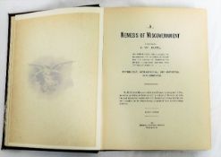 A Nemesis of Mis Government - 1899