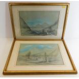 Pair of framed pencil and watercolour pictures 20"