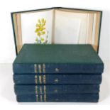 Five antique books of Familiar Garden Flowers publ