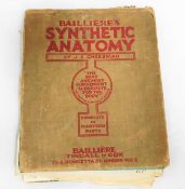 Baillieres Synthetic Anatomy by J E Cheesman Compl