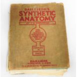 Baillieres Synthetic Anatomy by J E Cheesman Compl