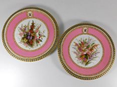 Two 19thC. hand decorated Worcester plates, one wi