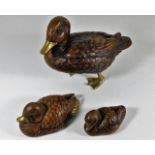 A F. LLi Malavolti model duck family